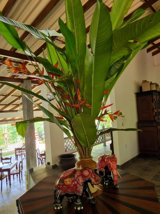 Villa Birdlake Hikkaduwa Esterno foto