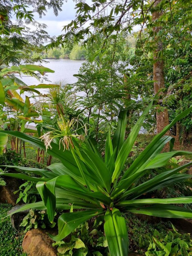 Villa Birdlake Hikkaduwa Esterno foto