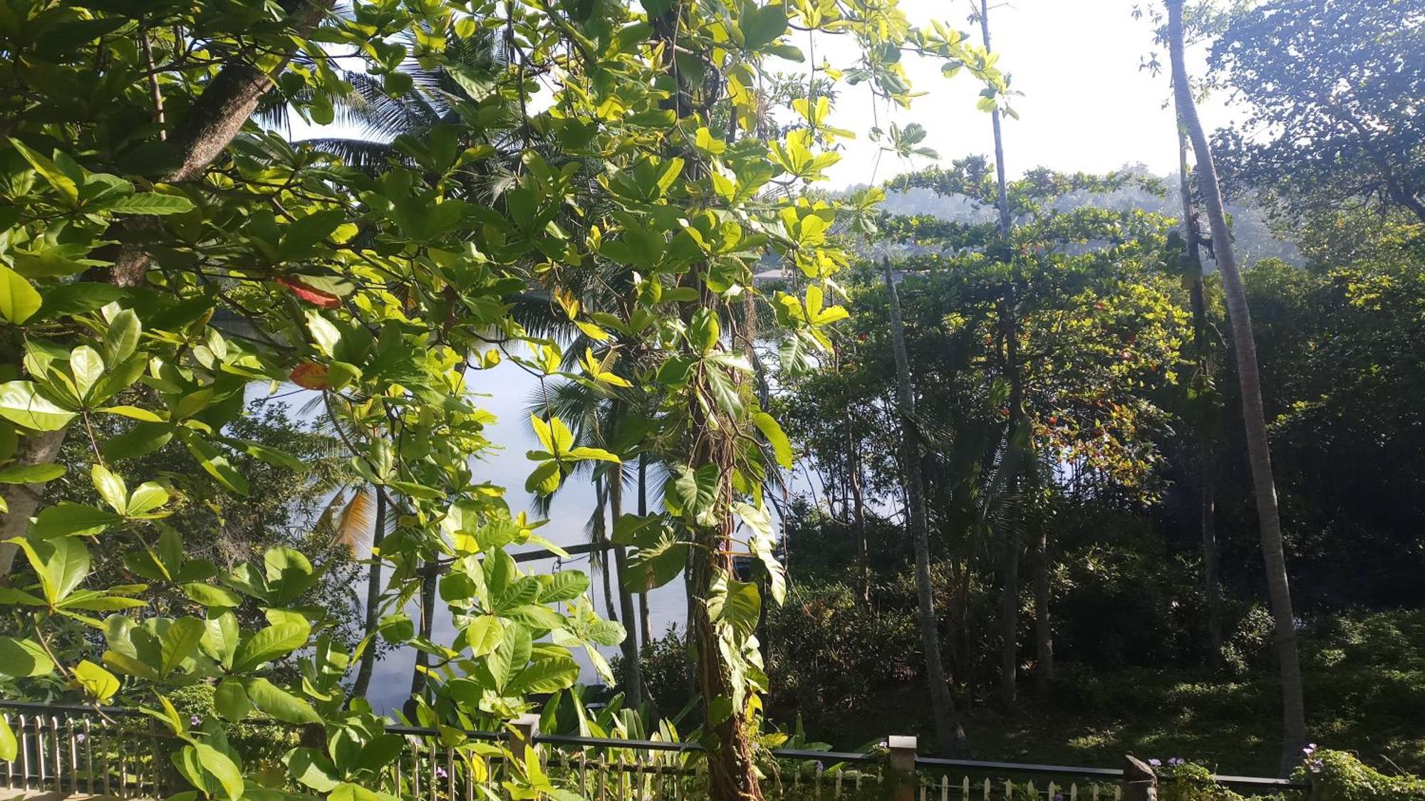 Villa Birdlake Hikkaduwa Esterno foto