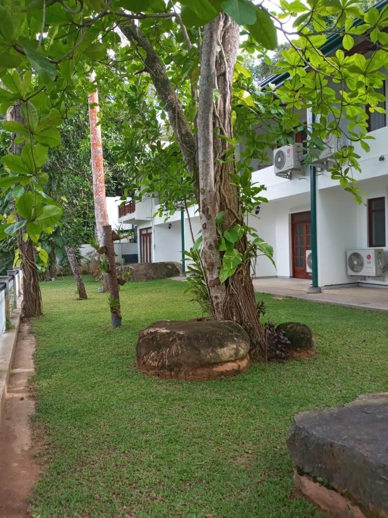 Villa Birdlake Hikkaduwa Esterno foto